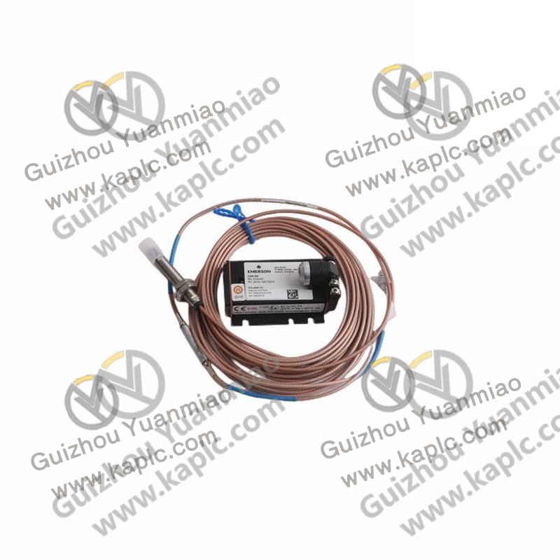 EMERSON Module Installation