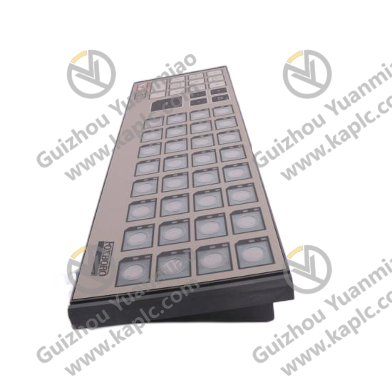 FOXBORO P0 Series Main Unit