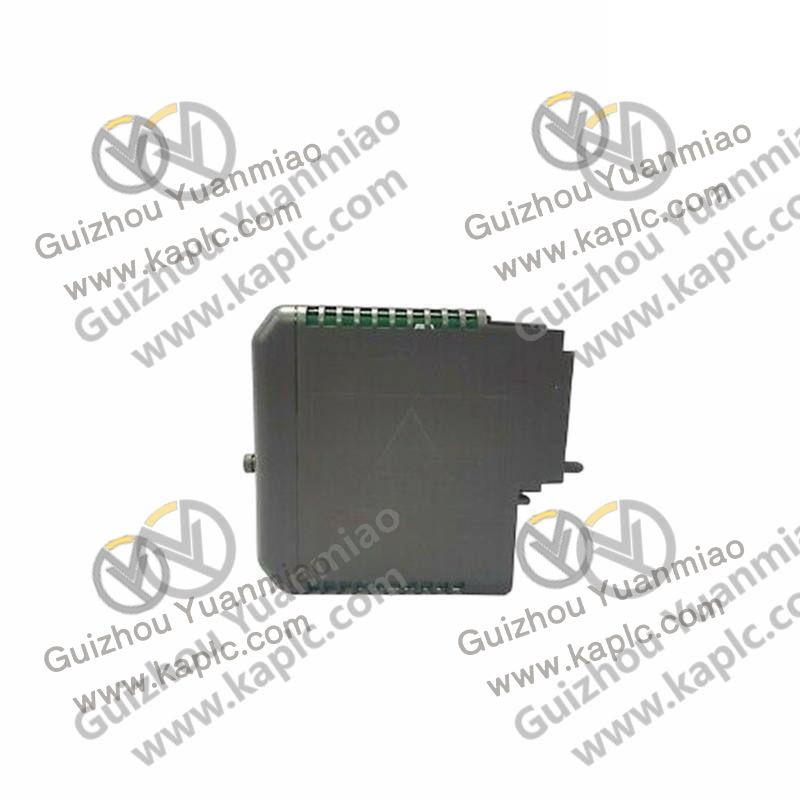 EMERSON 1X Series Module