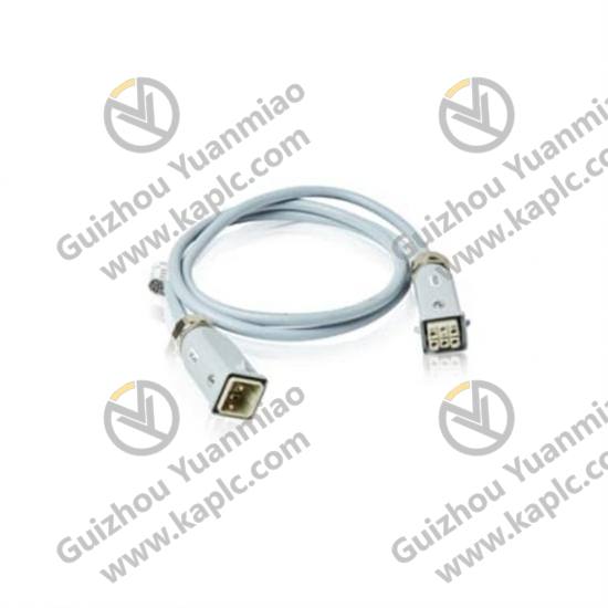 IC200ACC304 module front view