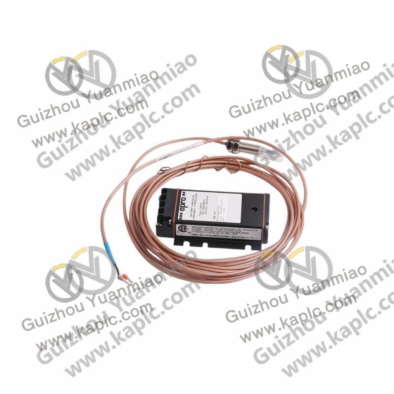 EMERSON Control Module Structure