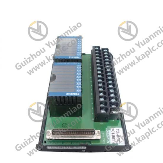 FOXBORO P0916GJ Module