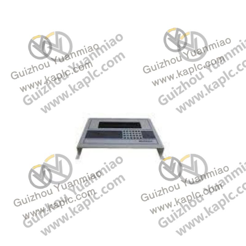 Analog Output Module