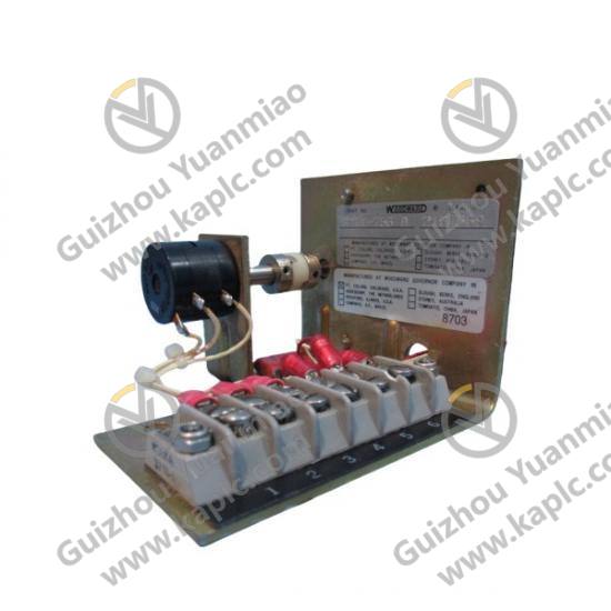 Woodward Control Module