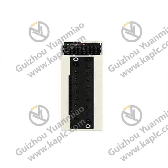 Module Front View