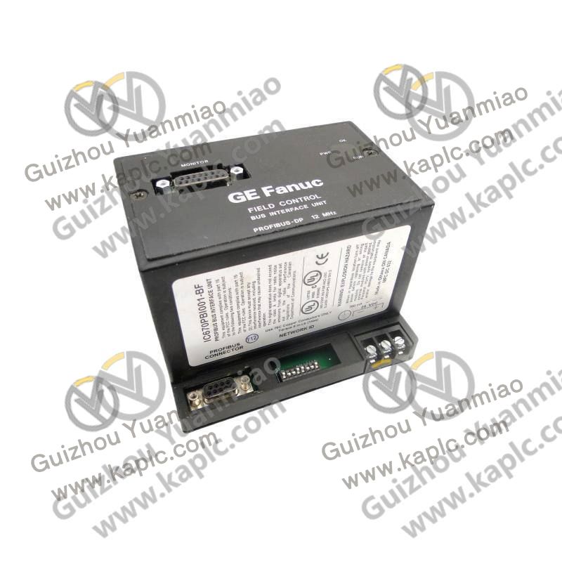 GE DS200HVIG1BGD Module Front View