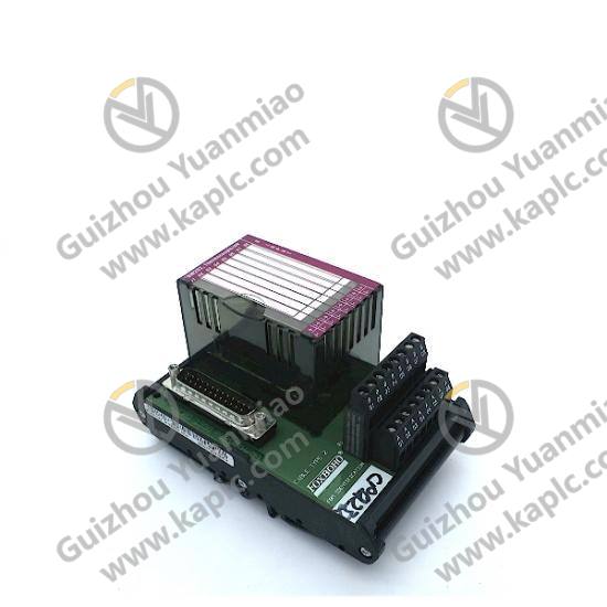 P0 Series Module