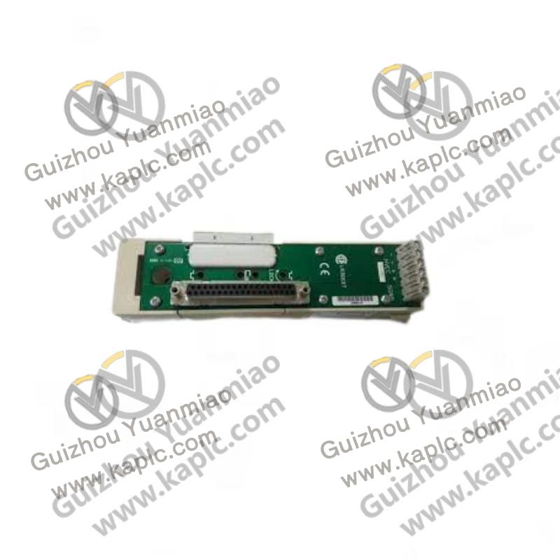 Module front view