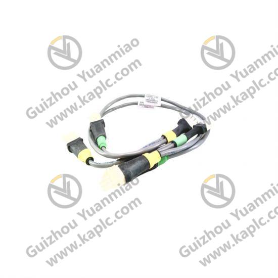 Module Overview