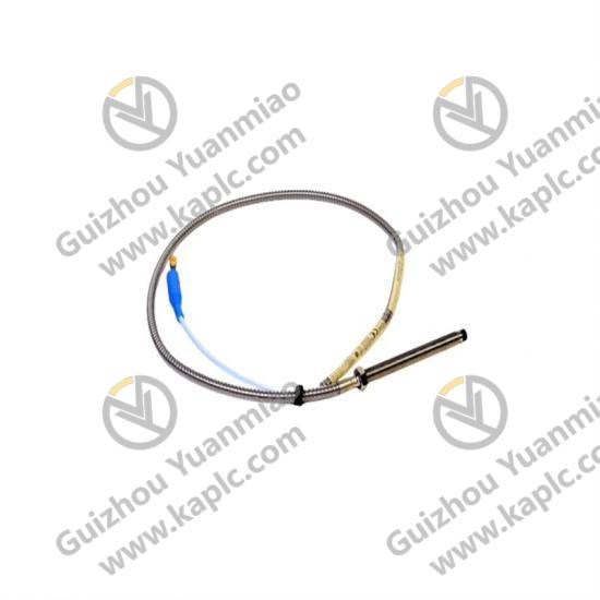 Probe Assembly