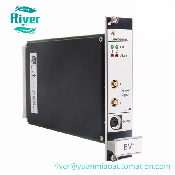 9199-00002 A6120 EMERSON EPRO Dual Chann